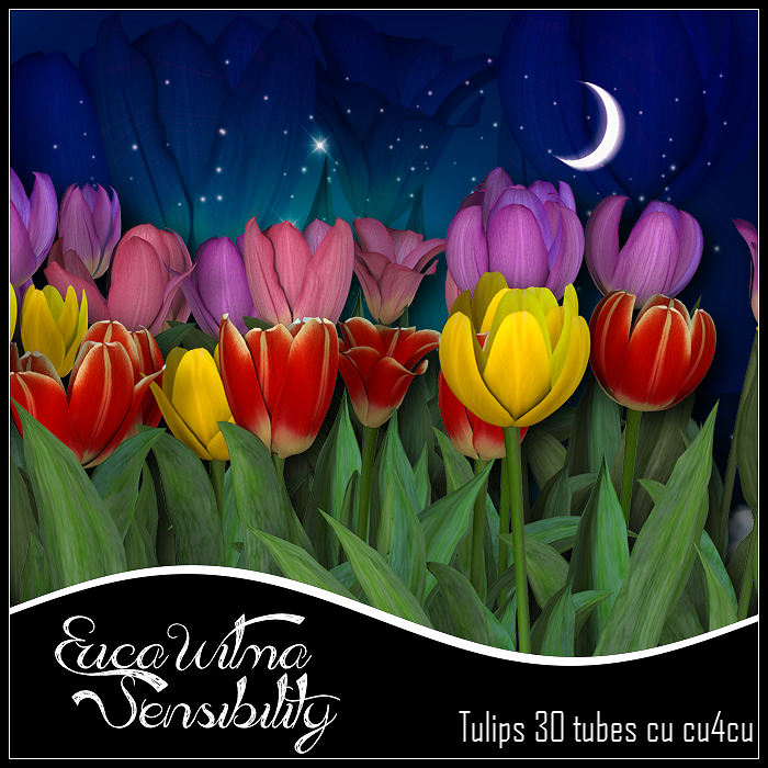 EW Tulips cu - Click Image to Close